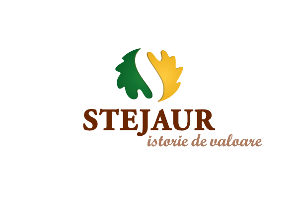 https://imprint.md/img/lucrari/Stejaur/Stejaur_Logo_Vertical.png