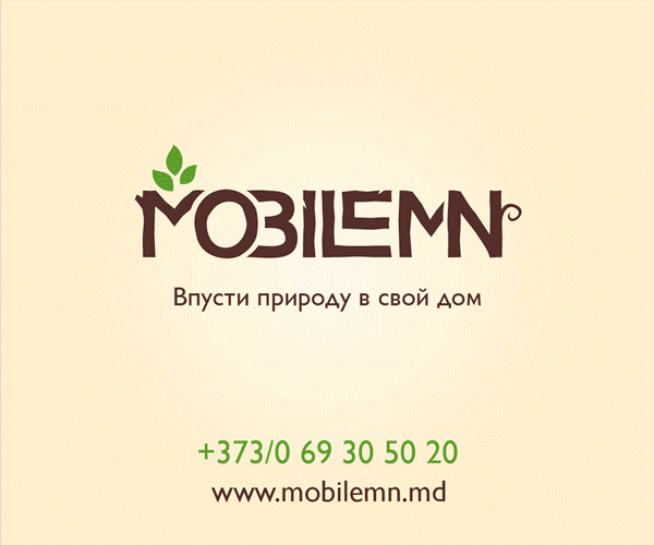 https://imprint.md/img/flash/mobilemn/Promo_Led_Mobilemn_12_2013.gif