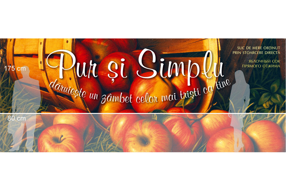 https://imprint.md/img/lucrari/Berhord/Pur-si-Simplu/baner_Pur_si_Simplu_siluete.jpg