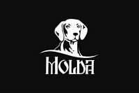 https://imprint.md/img/lucrari/Berhord/Logo_Molda-2_dec11.jpg