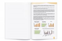 https://imprint.md/img/lucrari/Sancos/Raport_marca_comerciala/Raport_Sancos_Marca_Anului2013_3.jpg